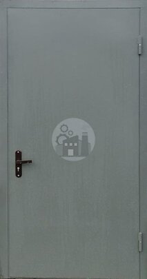 Дверь с окрасом нитроэмаль-ДВ-1596